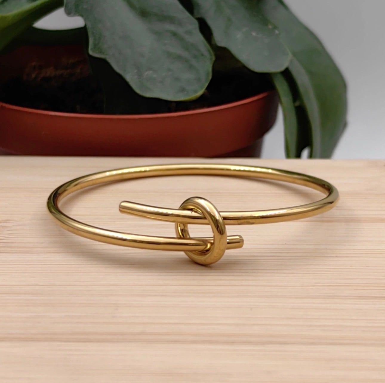 Colliers acier inoxydable Jonc