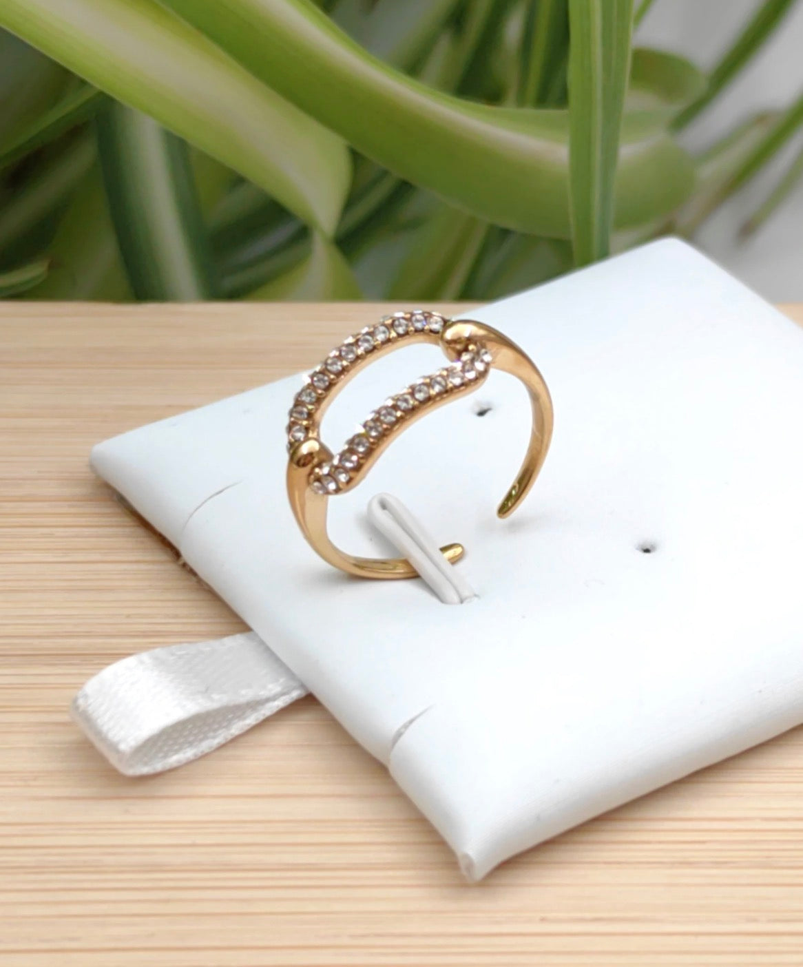 Colliers acier inoxydable Bague