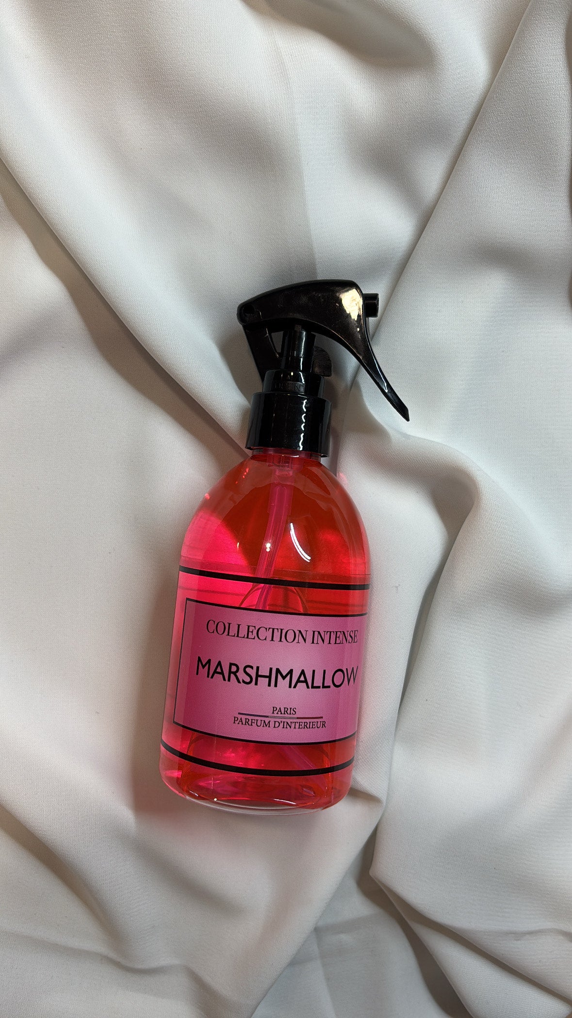 Spray d'intérieur/textile