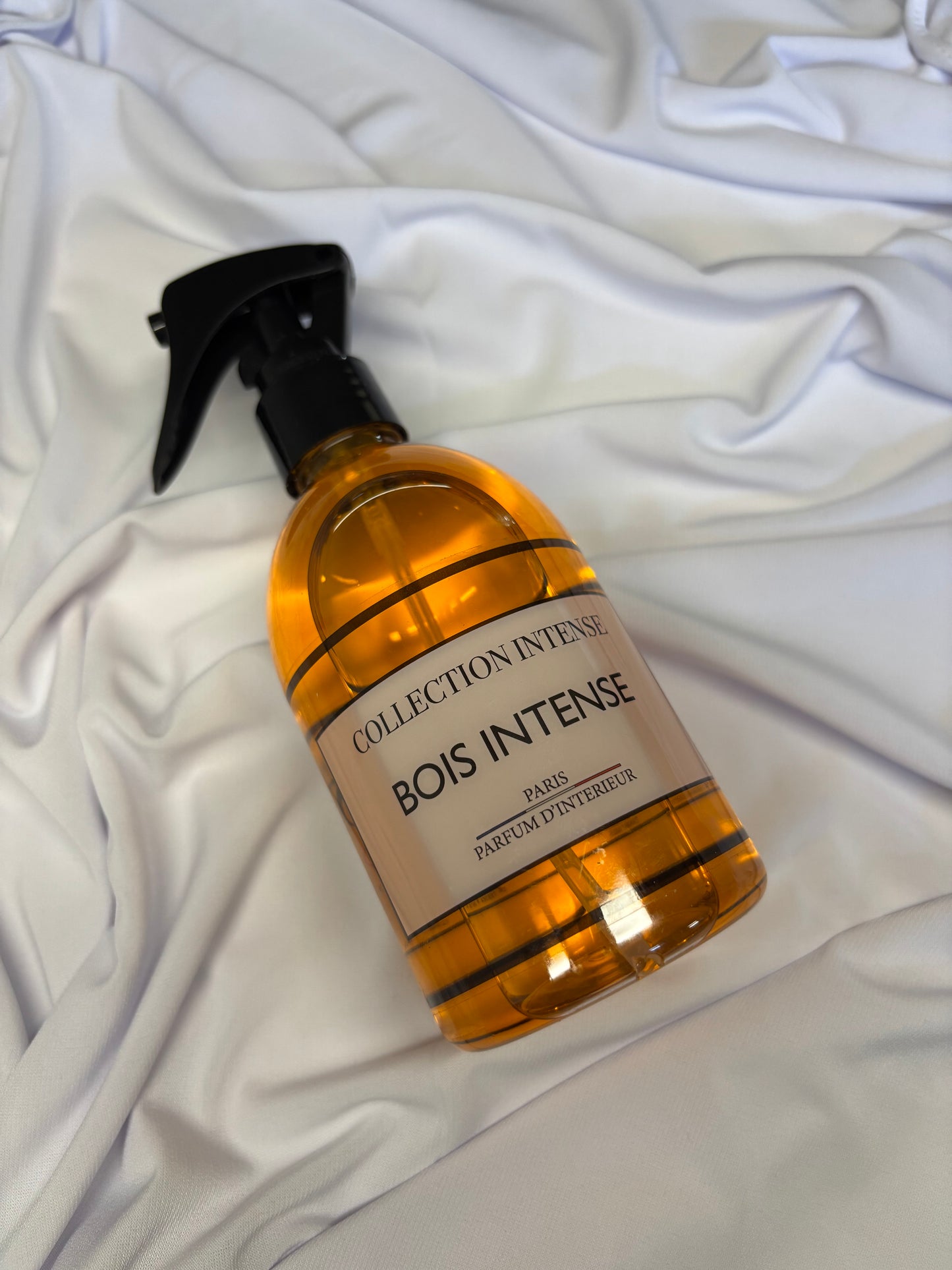 Spray d'intérieur/textile