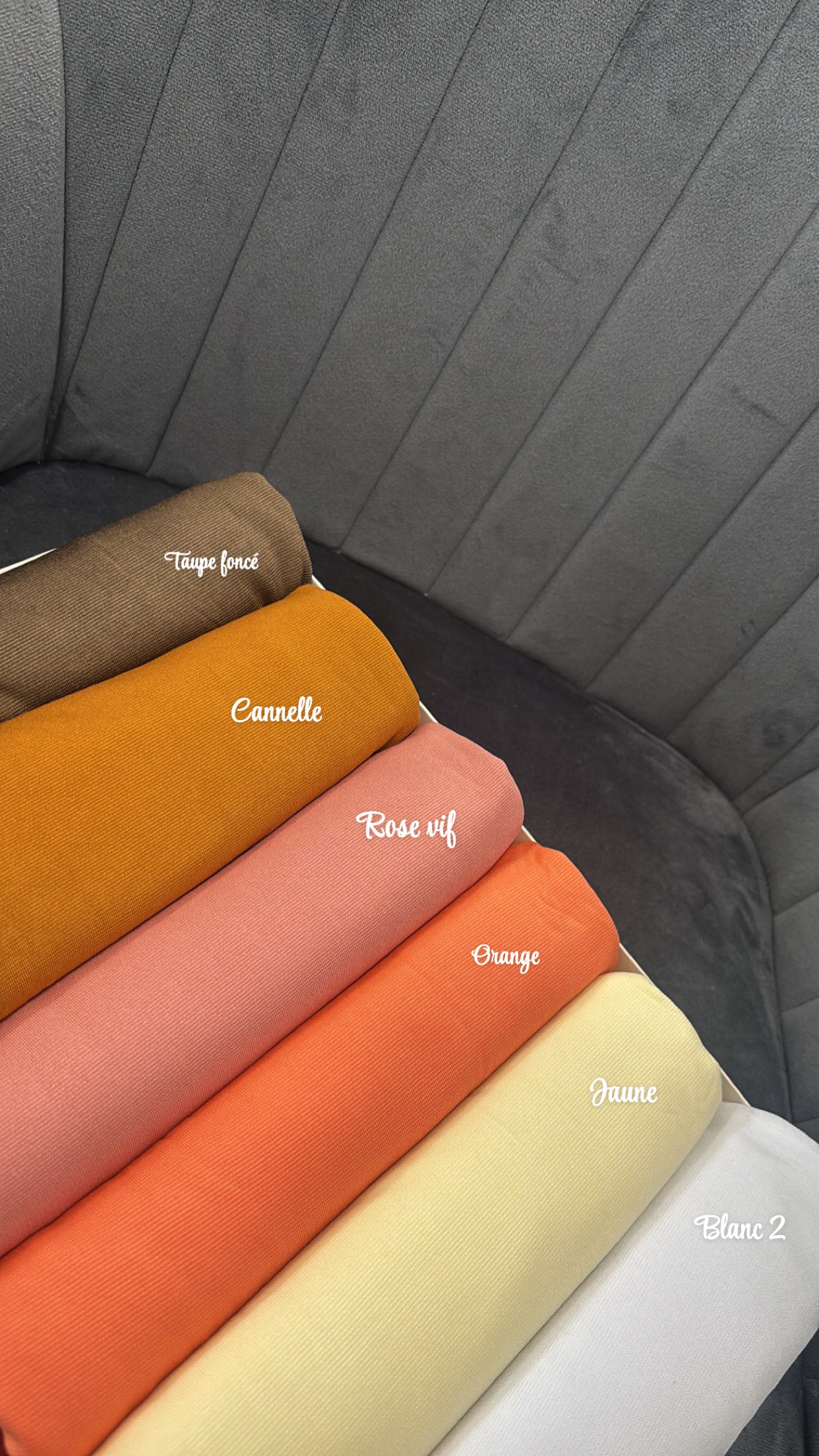 Foulard jersey premium 2