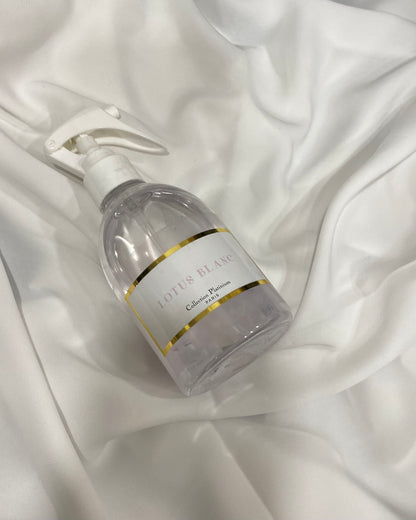 Spray d'intérieur/textile